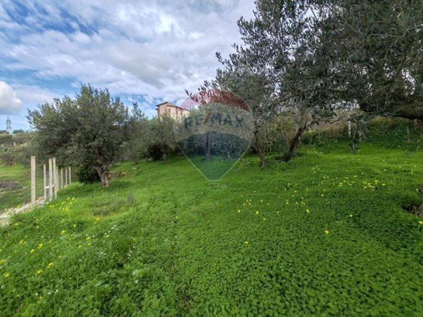 casa indipendente in vendita a Partinico