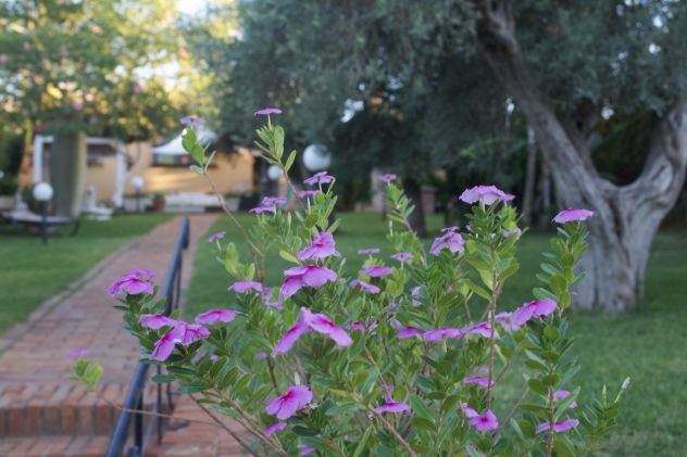 casa indipendente in vendita a Partinico