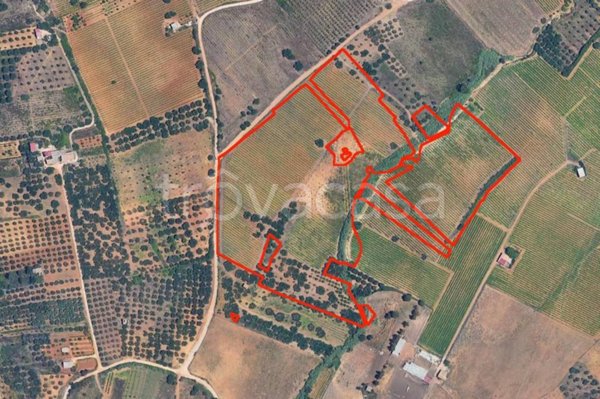 terreno in vendita a Partinico in zona Parrini