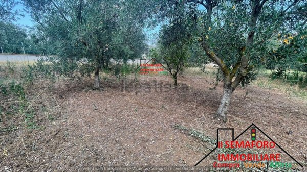 appartamento in vendita a Partinico