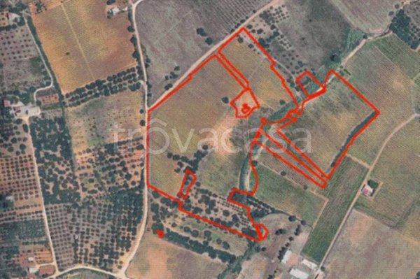 terreno agricolo in vendita a Partinico