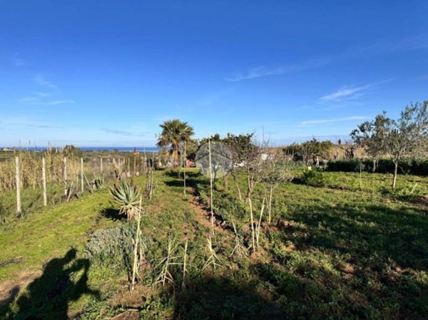 terreno agricolo in vendita a Partinico
