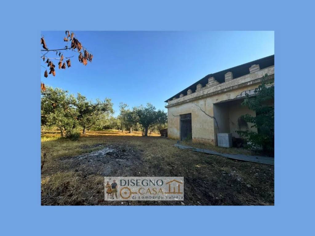 terreno agricolo in vendita a Partinico