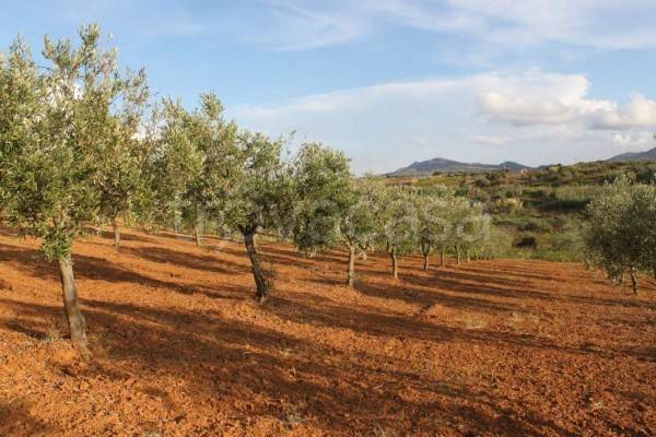 casa indipendente in vendita a Partinico