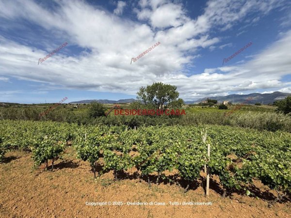 terreno agricolo in vendita a Partinico
