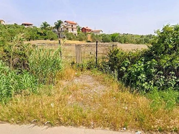 terreno agricolo in vendita a Partinico
