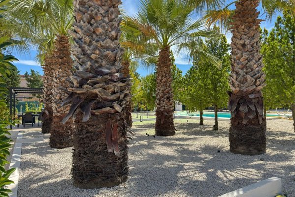 casa indipendente in vendita a Partinico