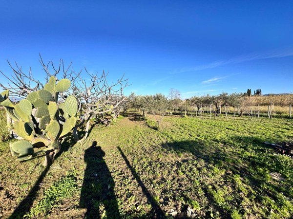 terreno agricolo in vendita a Partinico