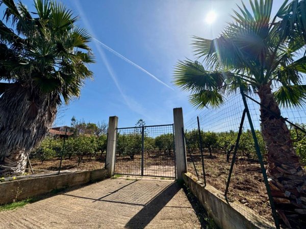 terreno agricolo in vendita a Partinico