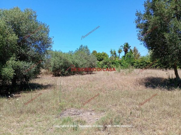 terreno agricolo in vendita a Partinico
