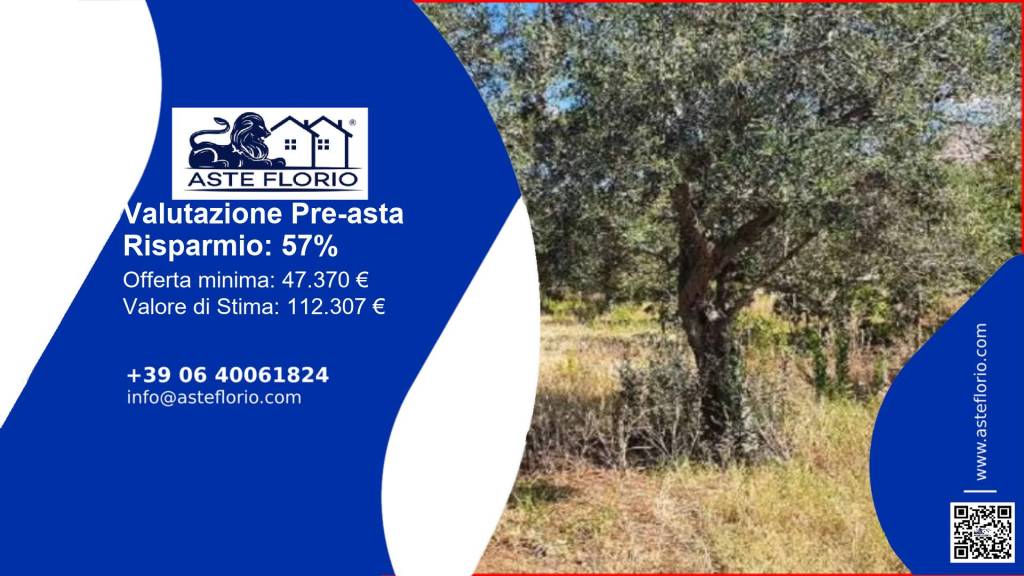 terreno agricolo in vendita a Partinico