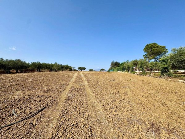 terreno agricolo in vendita a Partinico
