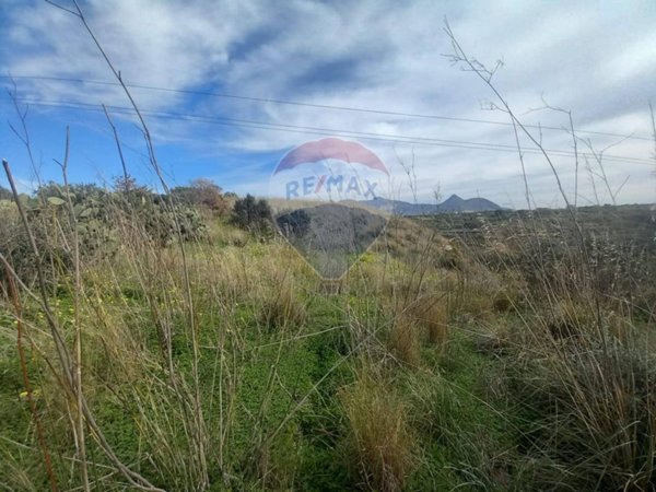 terreno agricolo in vendita a Partinico
