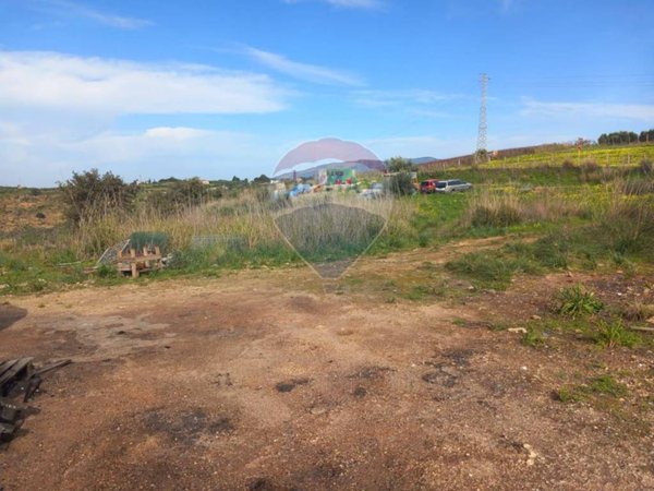 terreno agricolo in vendita a Partinico