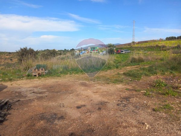 terreno agricolo in vendita a Partinico