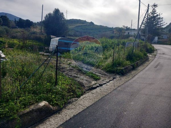 terreno agricolo in vendita a Partinico