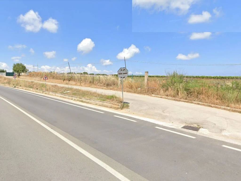 terreno agricolo in vendita a Partinico