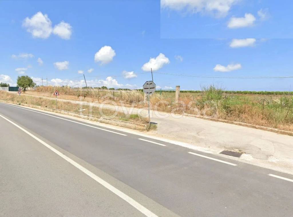 terreno agricolo in vendita a Partinico