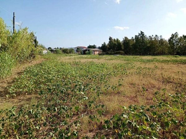 terreno agricolo in vendita a Partinico