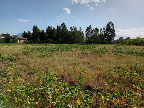 terreno agricolo in vendita a Partinico