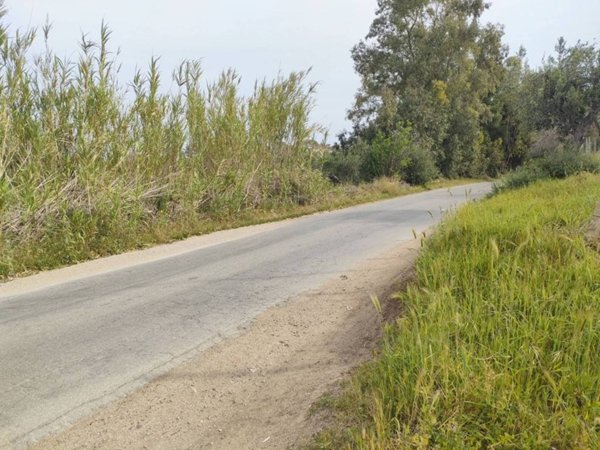 terreno agricolo in vendita a Partinico