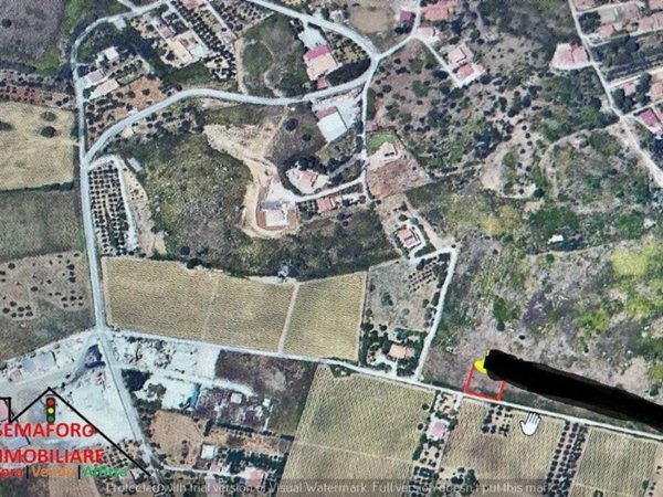 terreno agricolo in vendita a Partinico