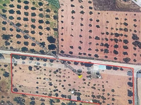 terreno agricolo in vendita a Partinico