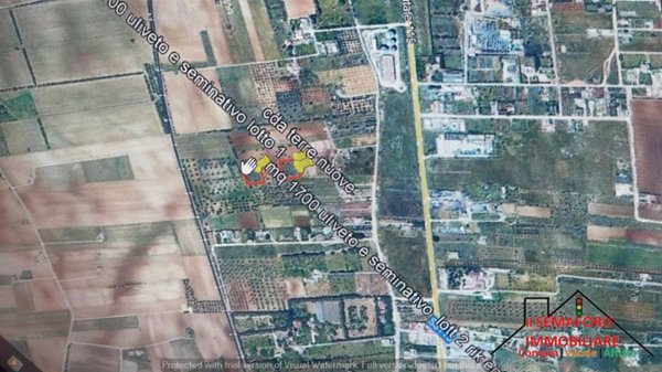 terreno agricolo in vendita a Partinico