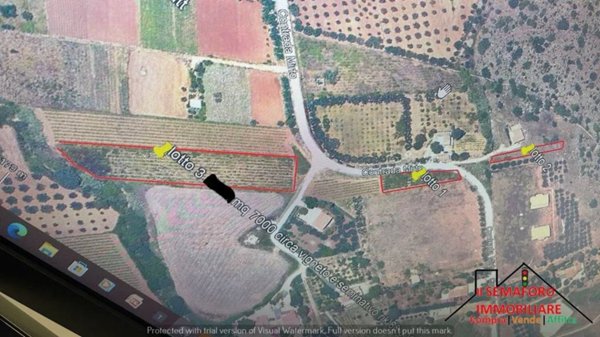 terreno agricolo in vendita a Partinico