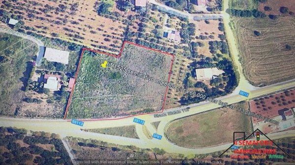 terreno agricolo in vendita a Partinico