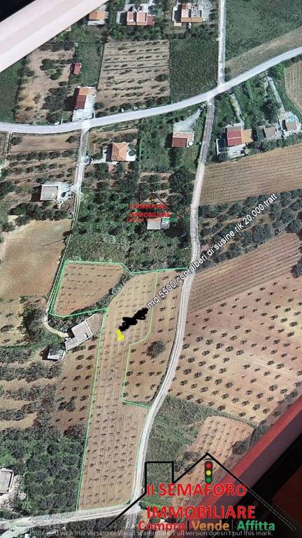 terreno agricolo in vendita a Partinico