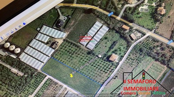 terreno agricolo in vendita a Partinico