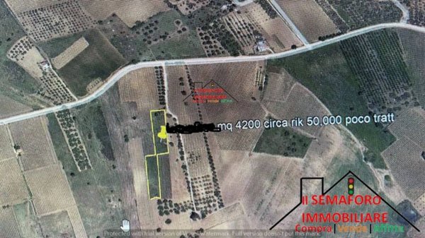 terreno agricolo in vendita a Partinico