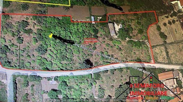 terreno agricolo in vendita a Partinico