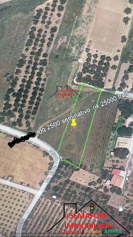 terreno agricolo in vendita a Partinico
