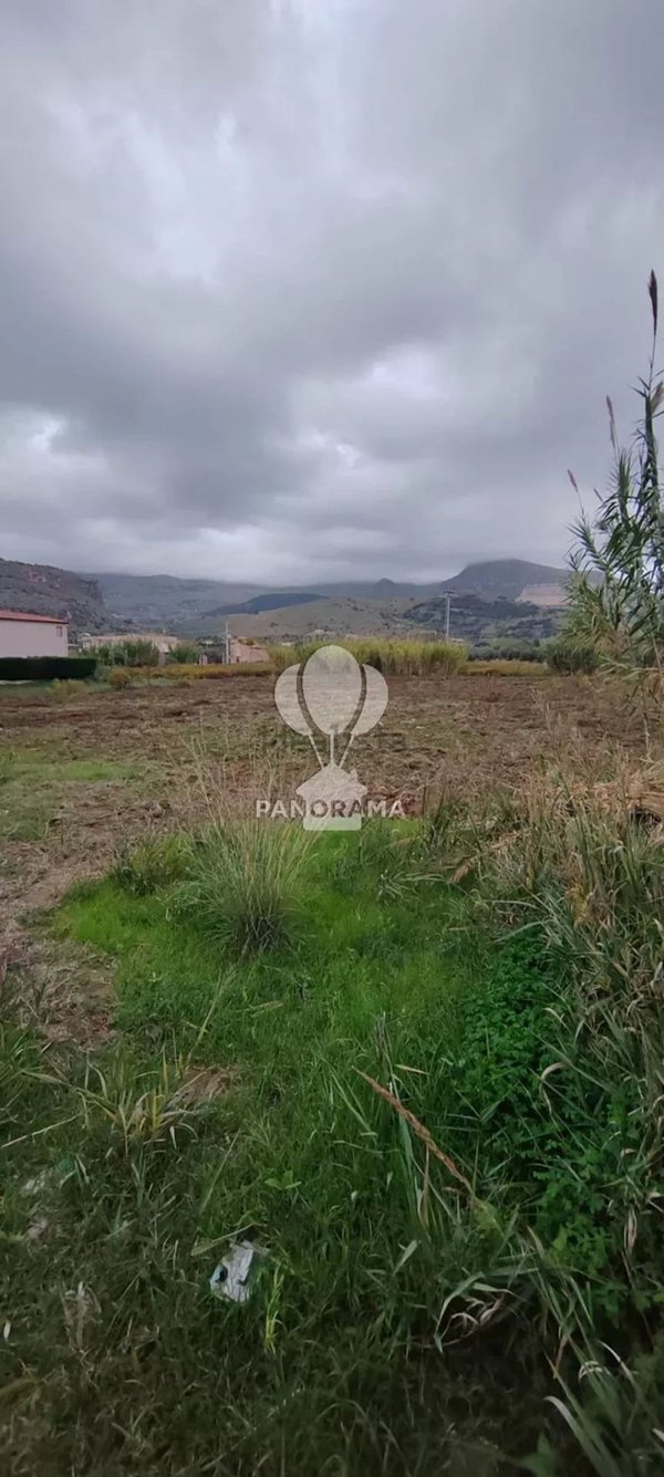 terreno agricolo in vendita a Partinico