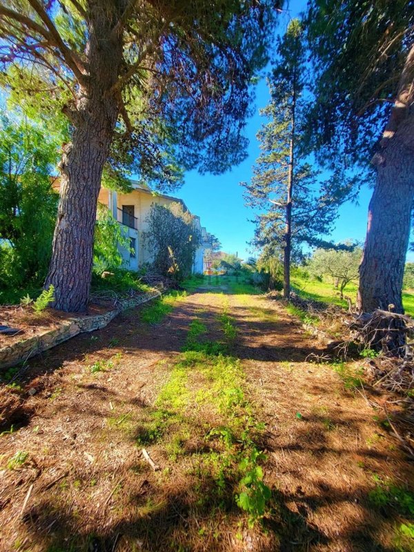 casa indipendente in vendita a Partinico