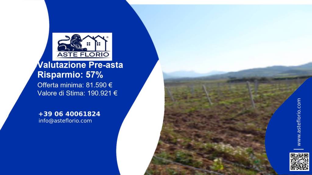 terreno agricolo in vendita a Partinico