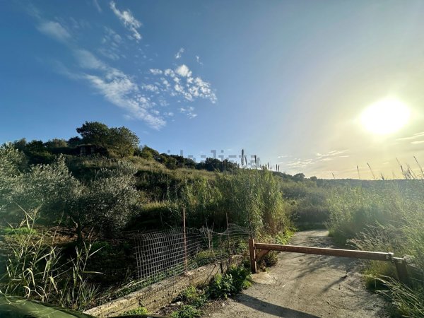 terreno agricolo in vendita a Partinico