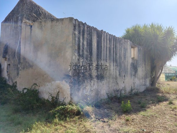 terreno agricolo in vendita a Partinico