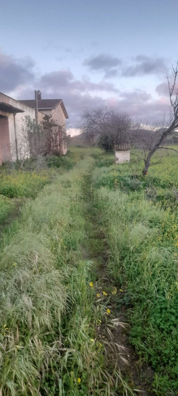 appartamento in vendita a Partinico