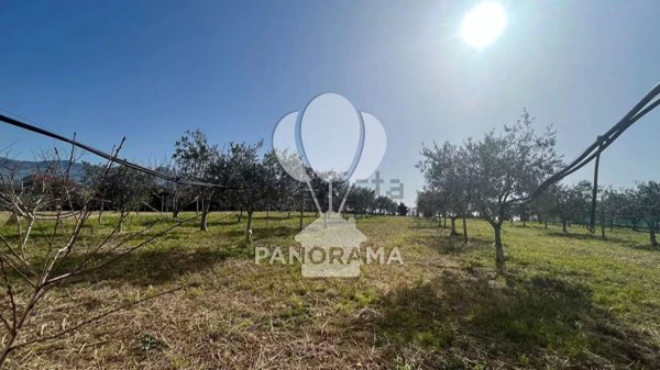 villa in vendita a Partinico