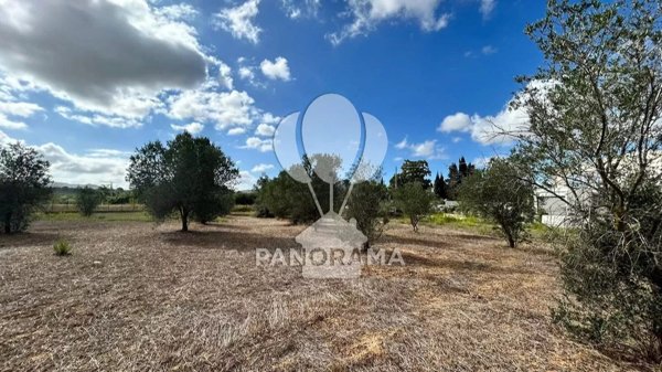 appartamento in vendita a Partinico