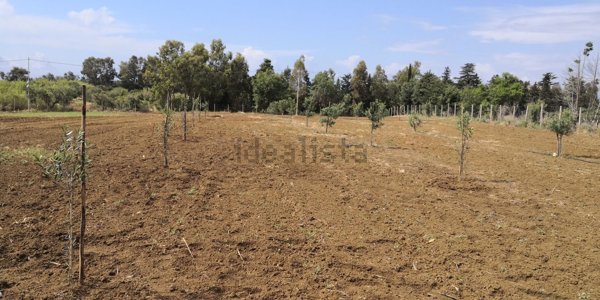 casa indipendente in vendita a Partinico