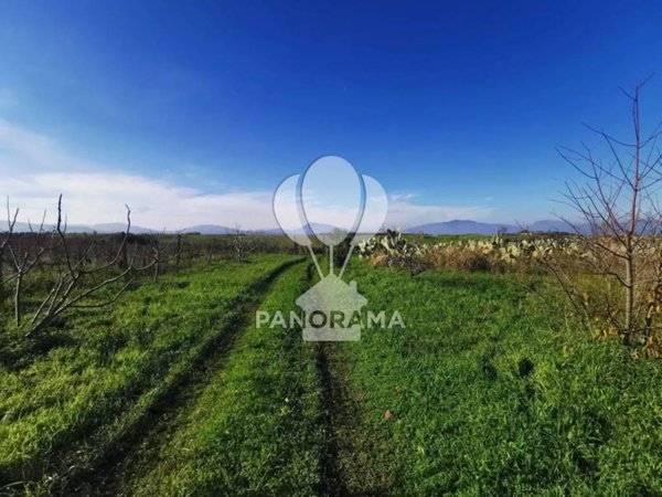 terreno agricolo in vendita a Partinico