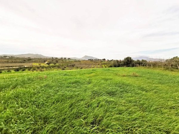terreno agricolo in vendita a Partinico
