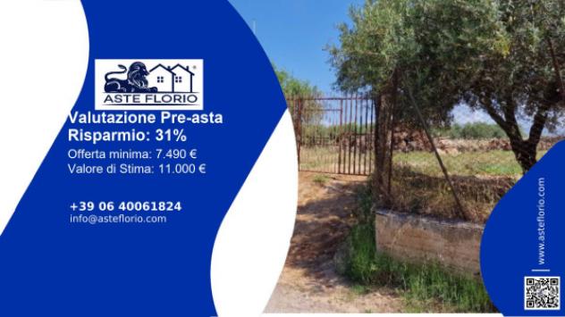 terreno agricolo in vendita a Partinico