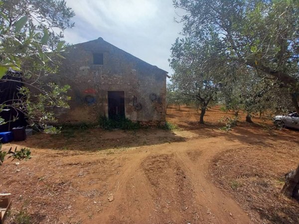terreno agricolo in vendita a Partinico