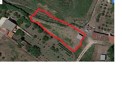 terreno agricolo in vendita a Partinico