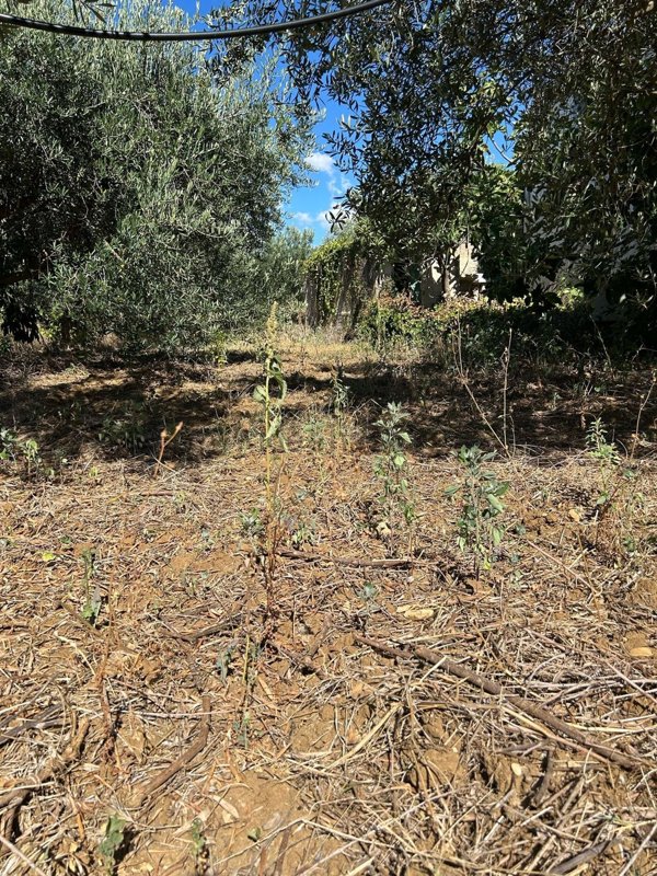 appartamento in vendita a Partinico